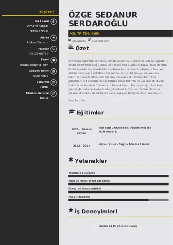 Acil Tıp Teknisyeni CV Örnekleri cv indir